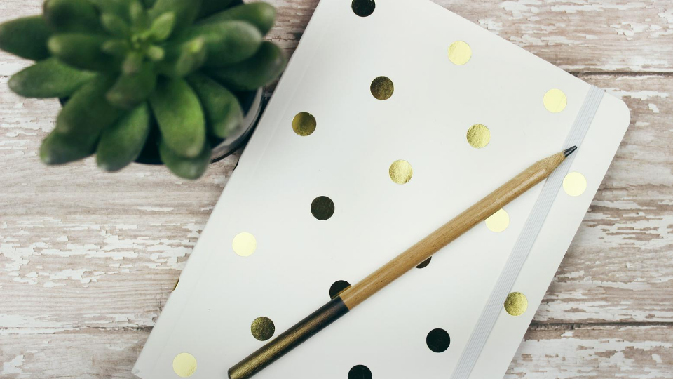 white notebook with gold polkadots on it and a pencil sitting on top of it with a succulent plant next to the book