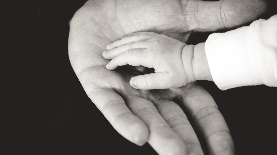 black and white picture of a mans open hand and a small child's hand resting in the middle of the man's hand