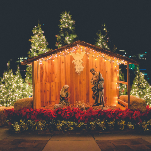 life size nativity scene set up in front of lit up Christmas trees